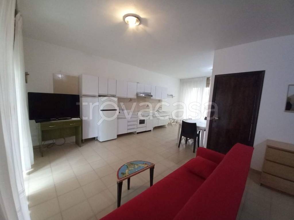 immagine annuncio 3 di 14