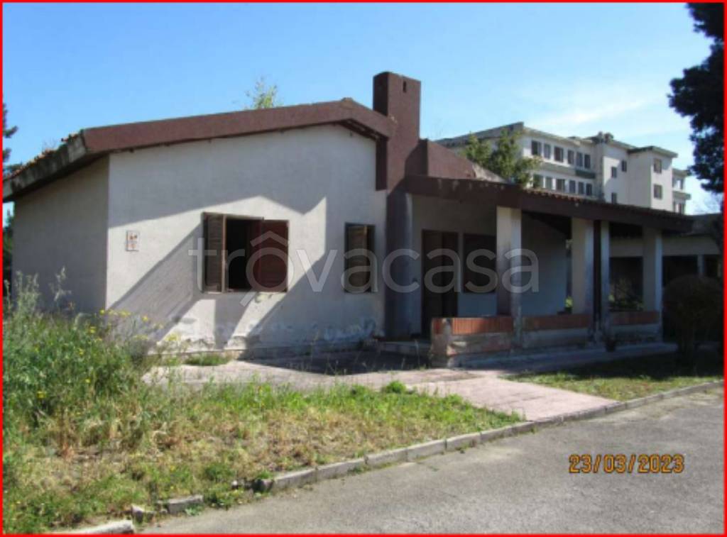 immagine annuncio 1 di 14