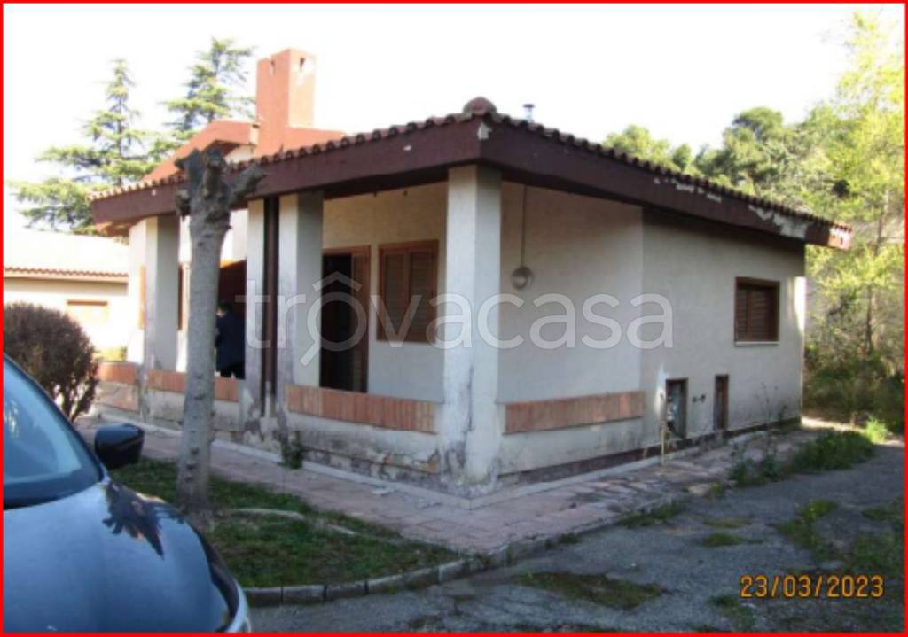 immagine annuncio 2 di 14