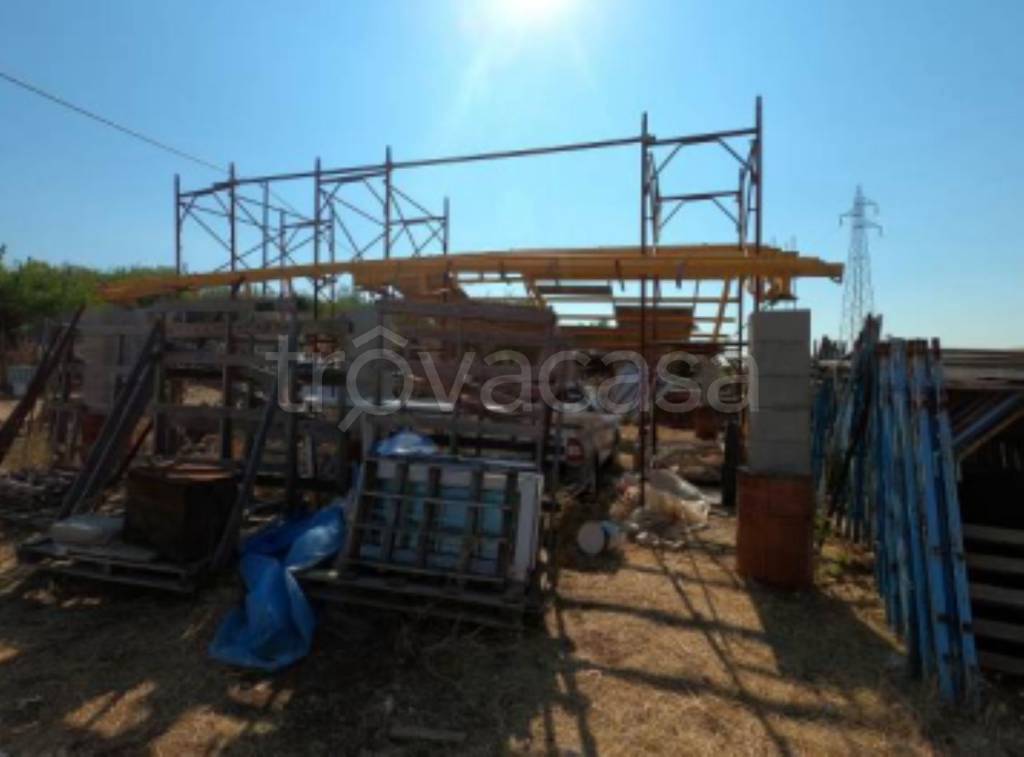 immagine annuncio 3 di 13