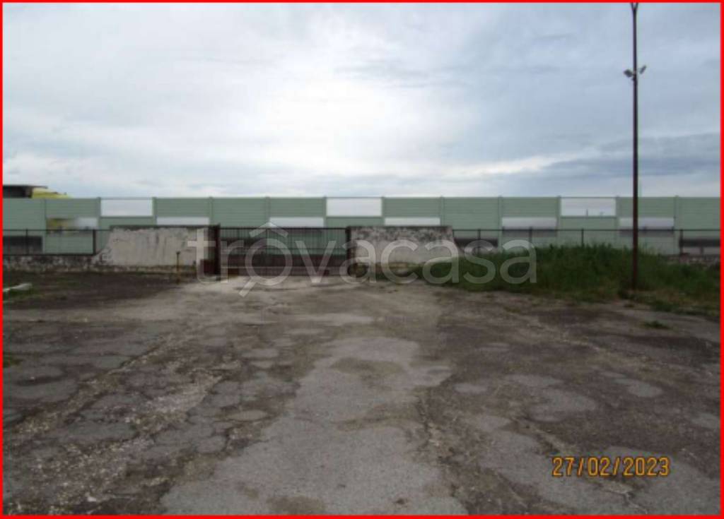 immagine annuncio 12 di 14