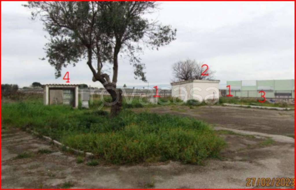 immagine annuncio 13 di 14