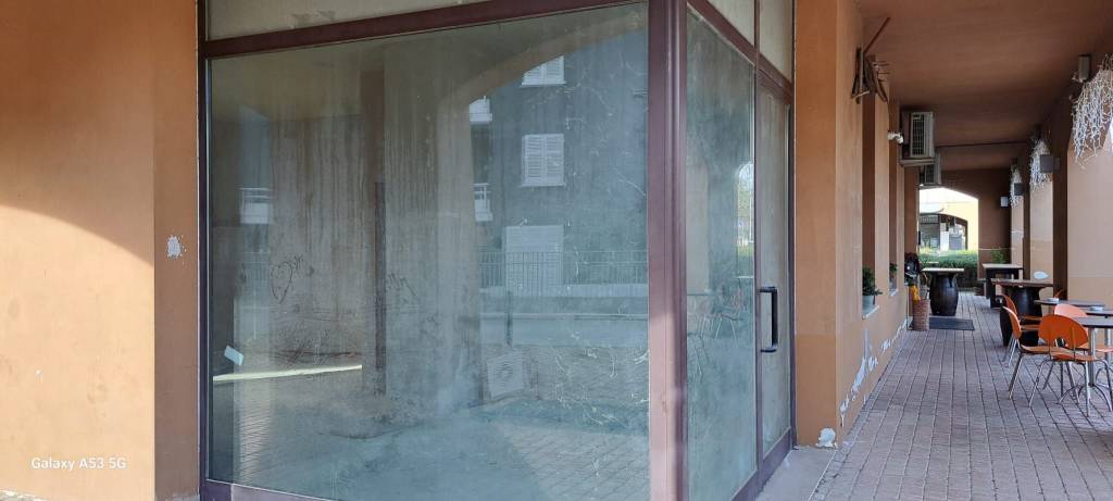 immagine annuncio 4 di 8