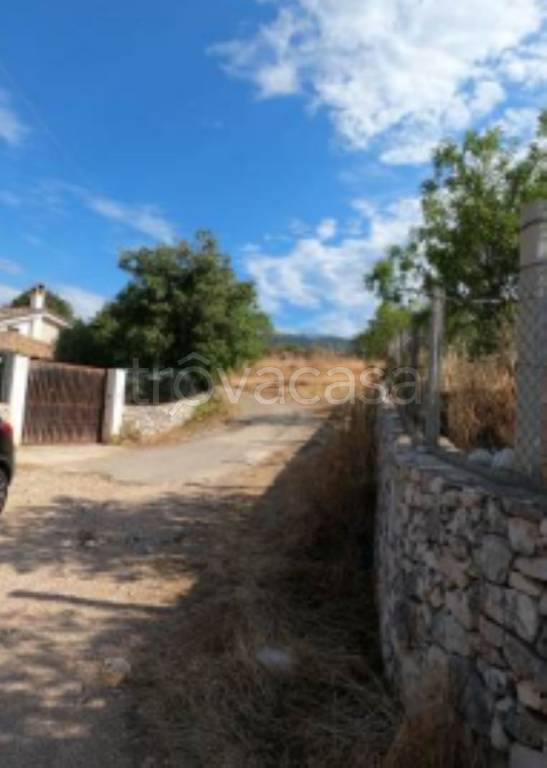 immagine annuncio 11 di 13