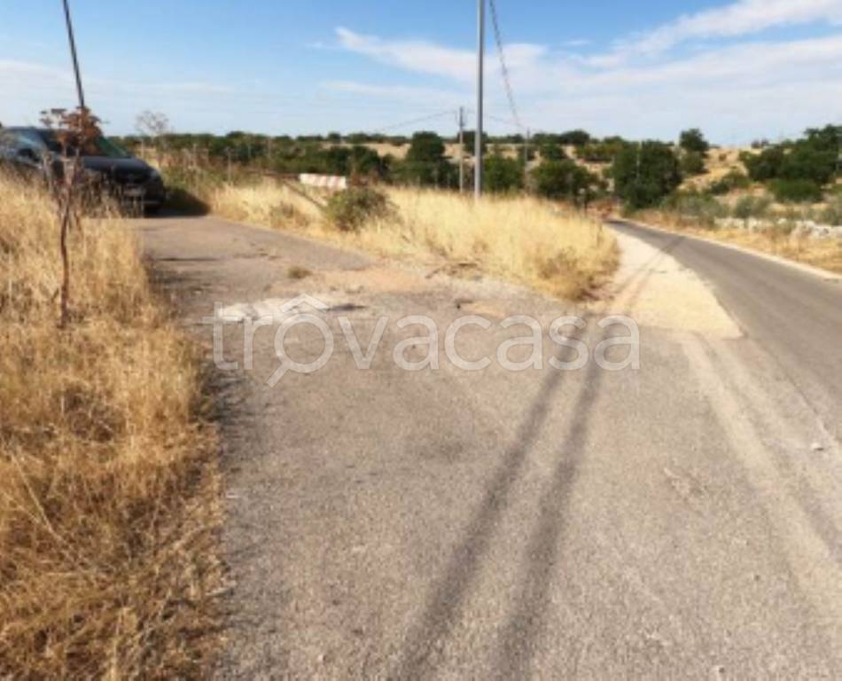 immagine annuncio 12 di 13