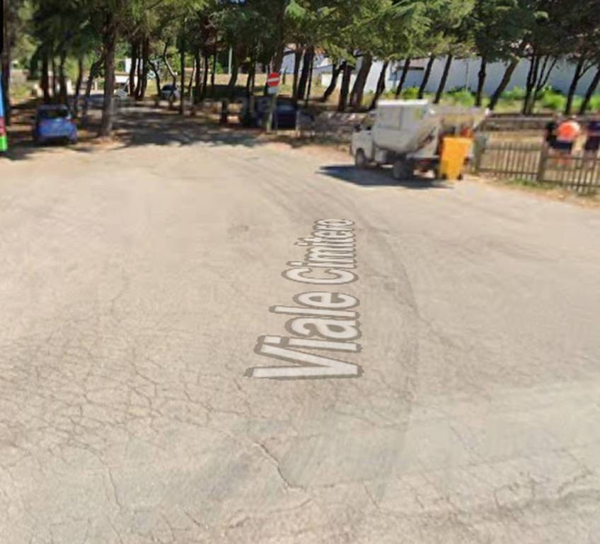 immagine annuncio 3 di 12