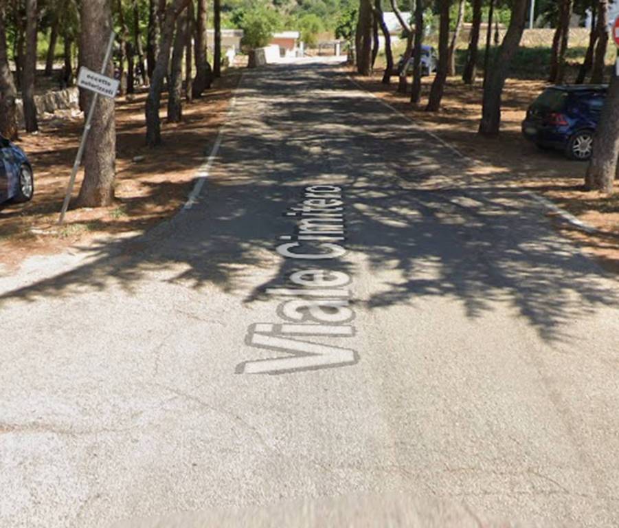 immagine annuncio 10 di 12