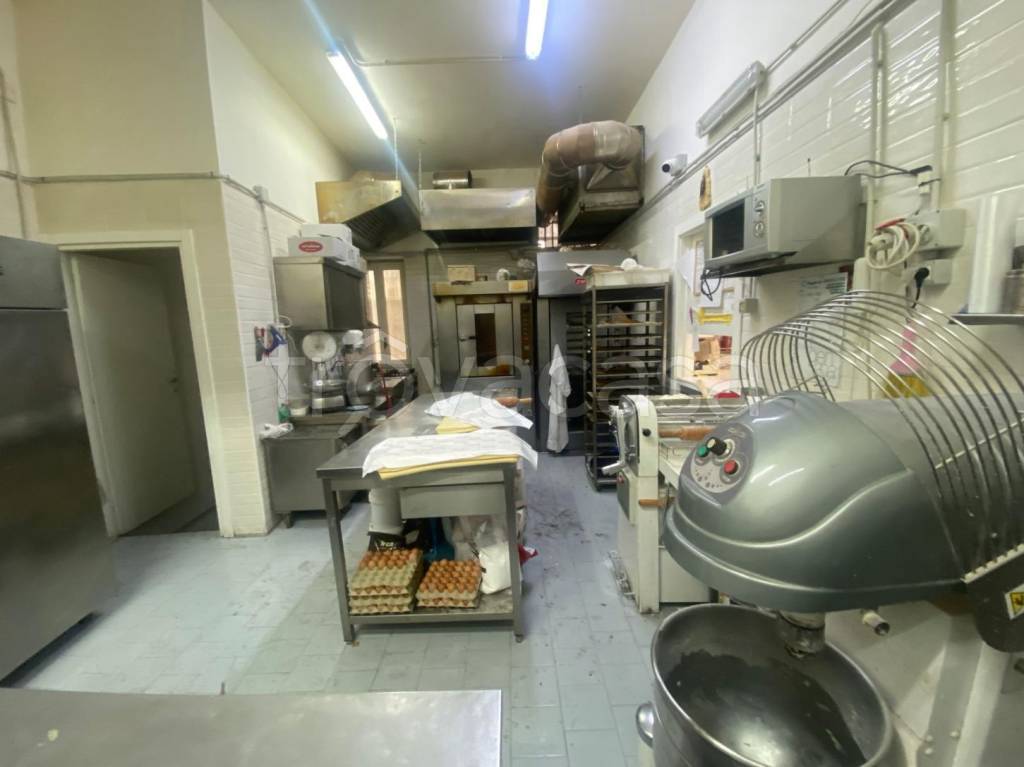 immagine annuncio 11 di 14