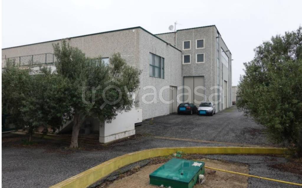 immagine annuncio 1 di 13