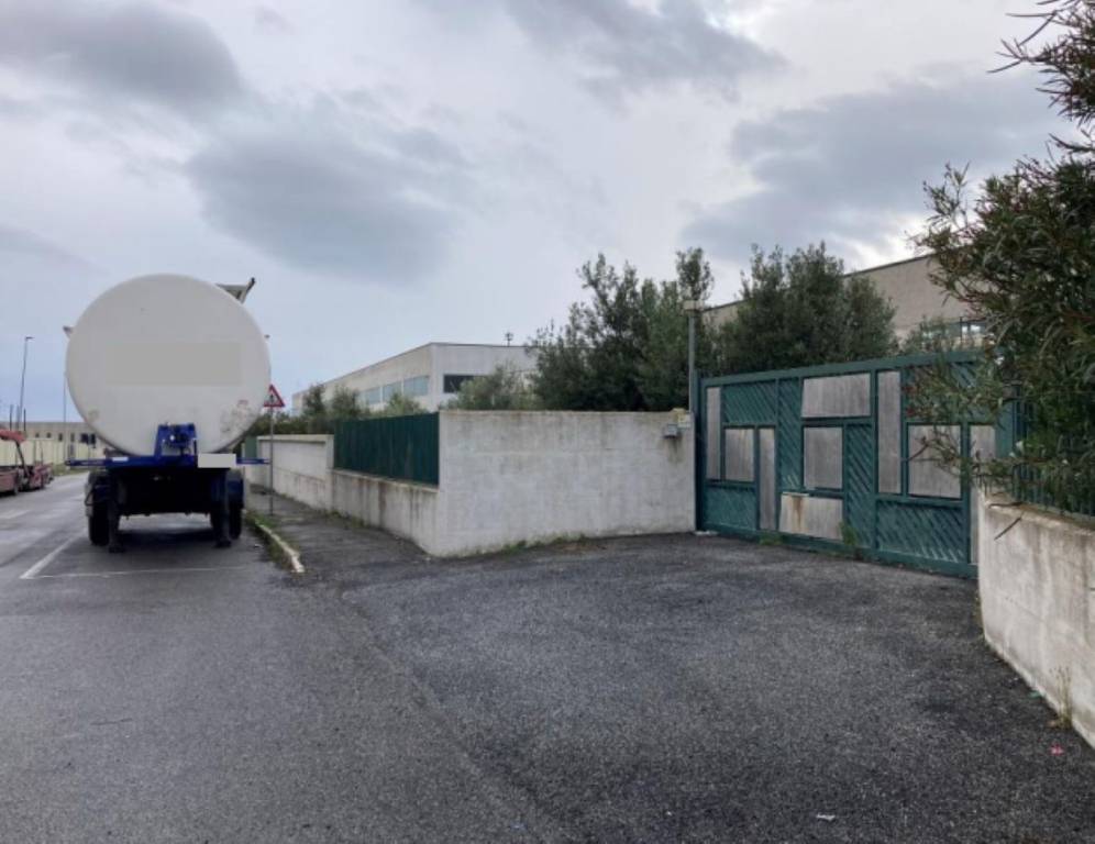 immagine annuncio 3 di 13