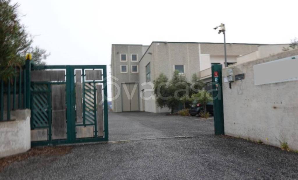 immagine annuncio 4 di 13