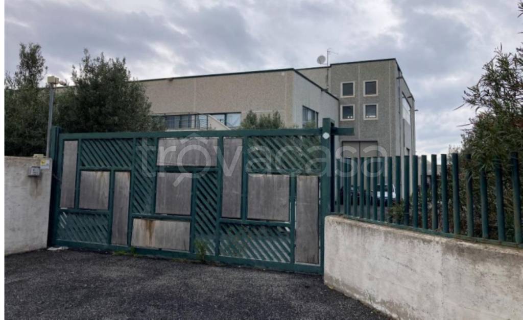 immagine annuncio 5 di 13