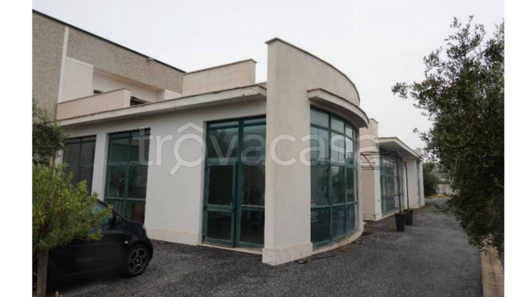 immagine annuncio 7 di 13