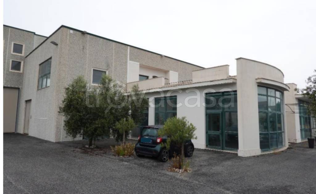 immagine annuncio 8 di 13