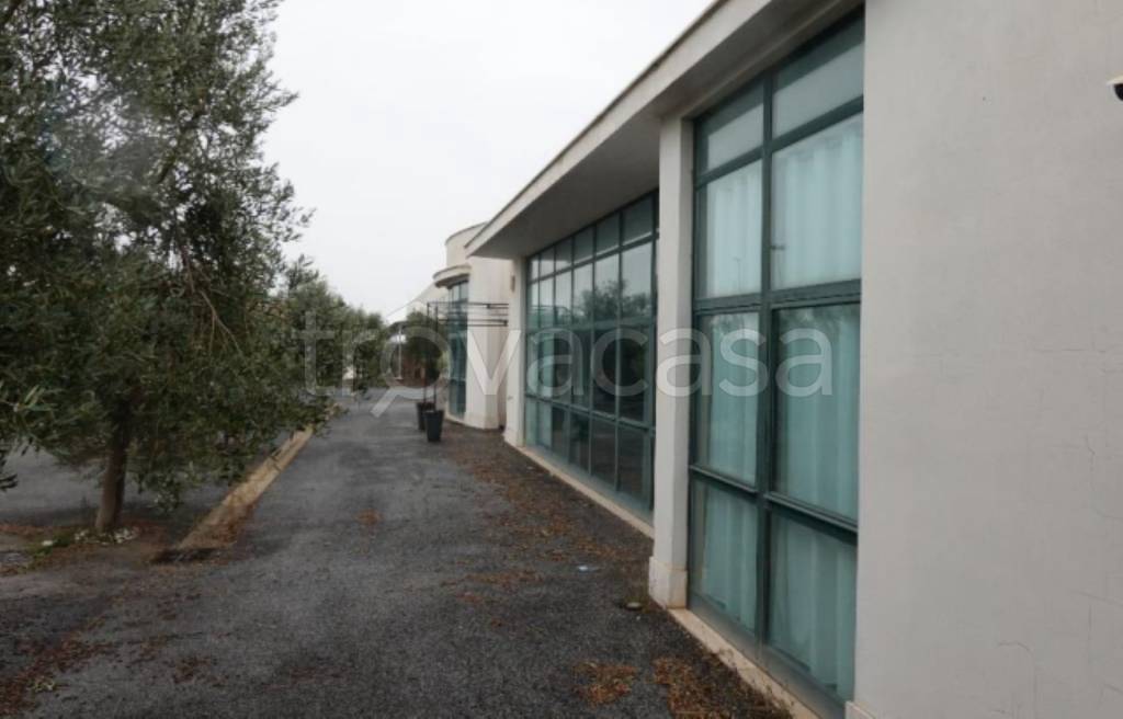 immagine annuncio 10 di 13