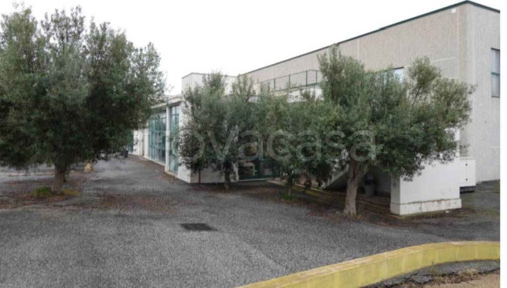 immagine annuncio 11 di 13