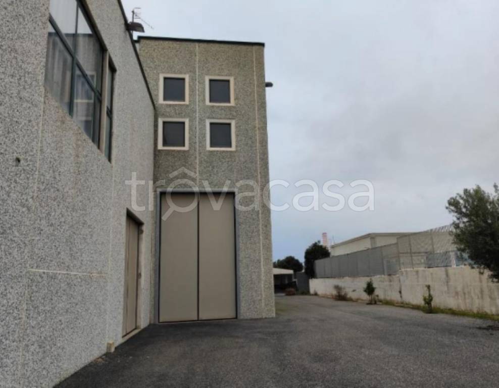 immagine annuncio 12 di 13