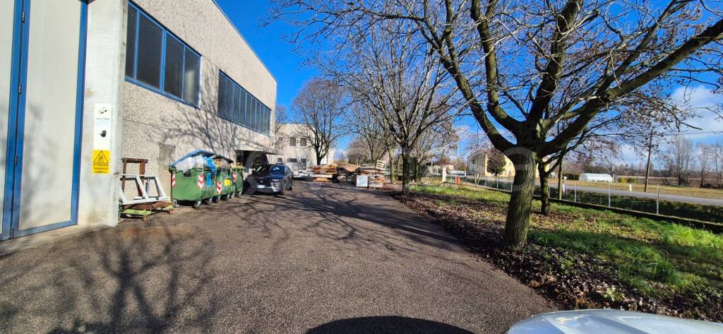 immagine annuncio 3 di 10