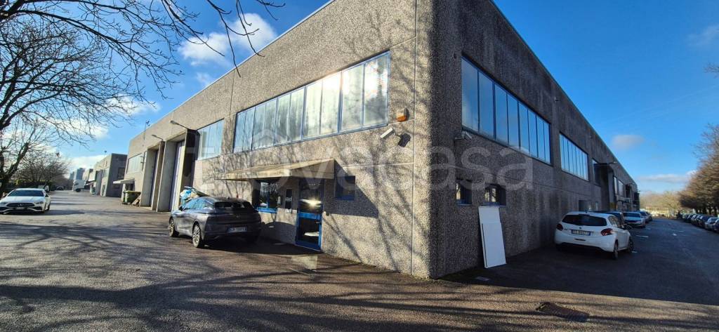 immagine annuncio 4 di 10