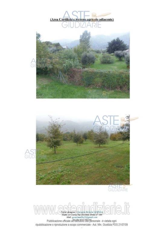 immagine annuncio 2 di 9