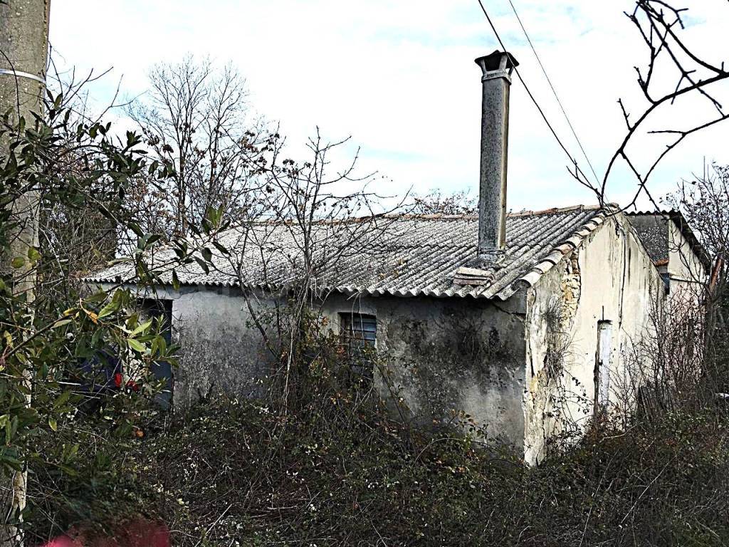 immagine annuncio 1 di 8