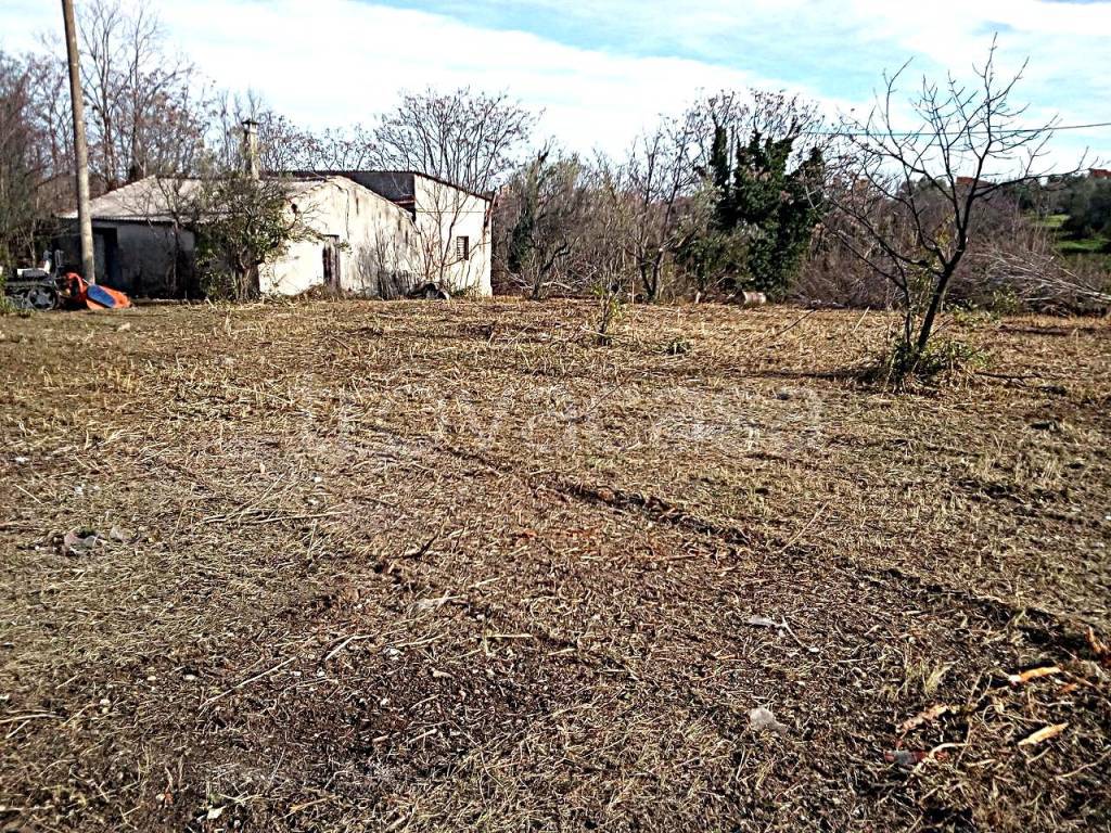 immagine annuncio 2 di 8