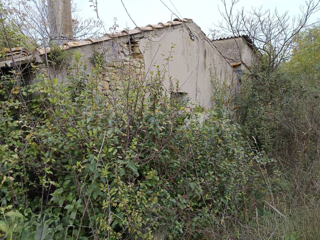 immagine annuncio 3 di 8