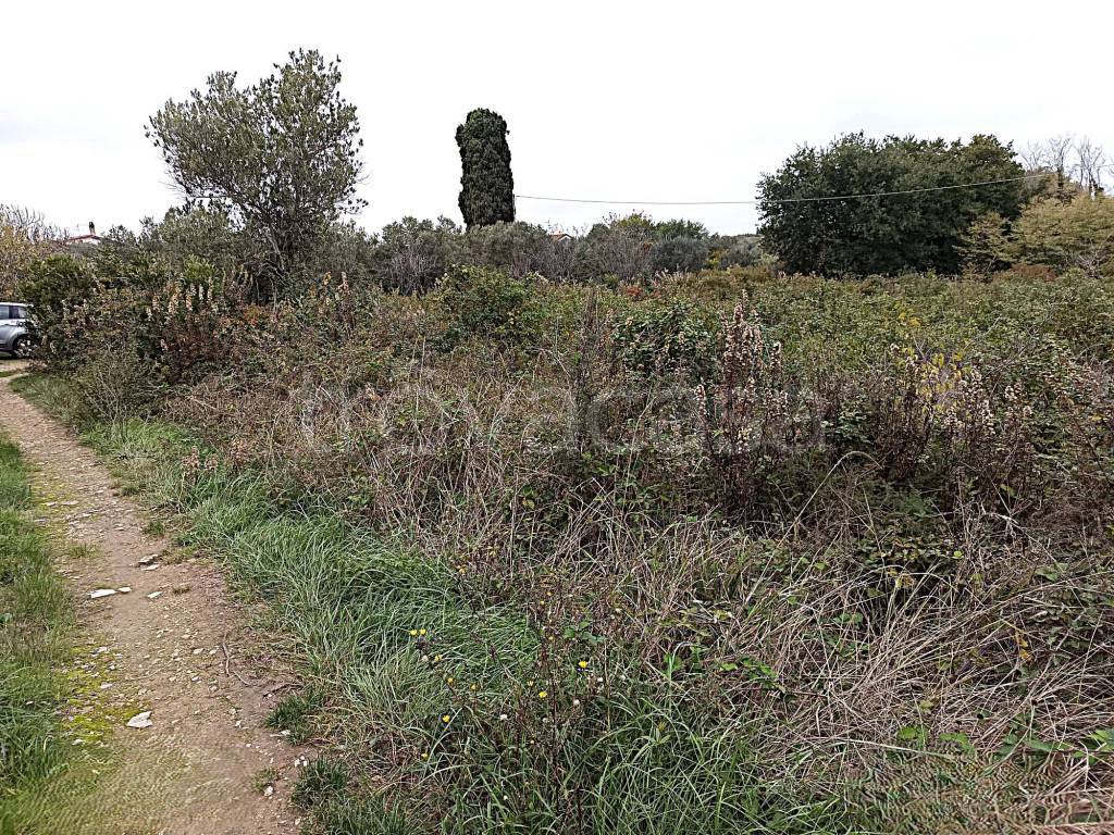 immagine annuncio 4 di 8