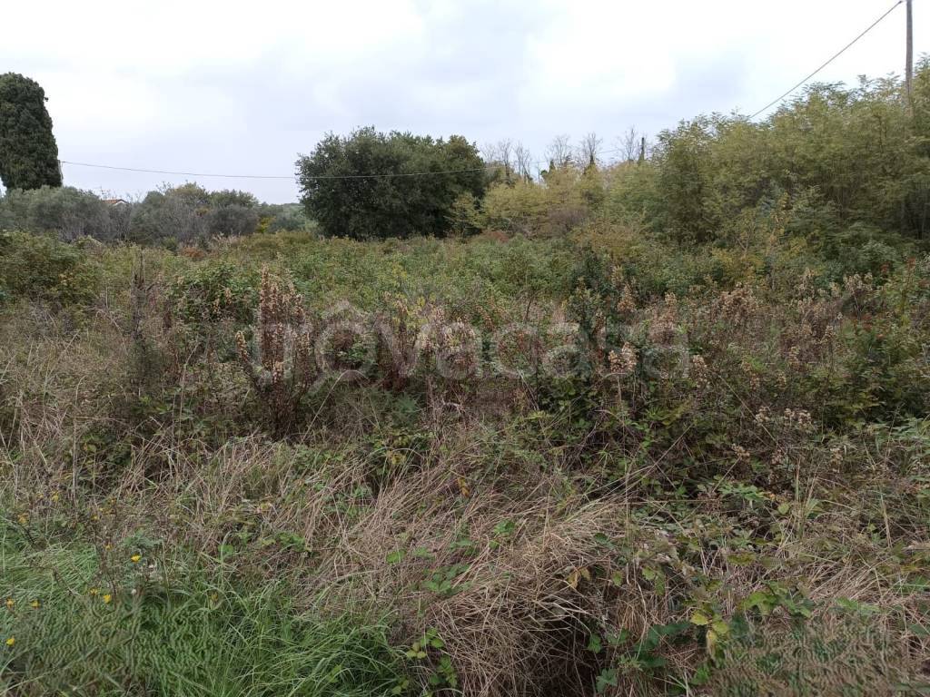 immagine annuncio 5 di 8