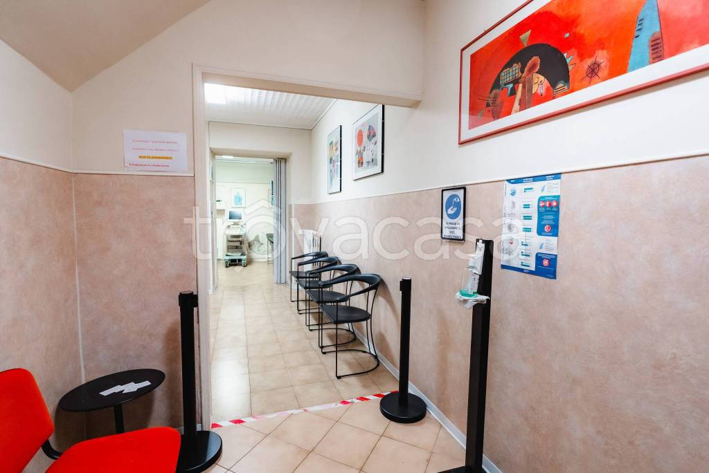 immagine annuncio 3 di 12