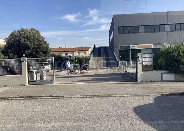 immagine annuncio 6 di 13