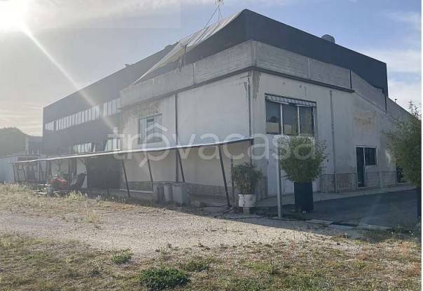 immagine annuncio 7 di 13