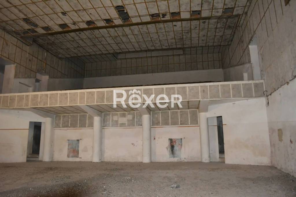 immagine annuncio 5 di 12