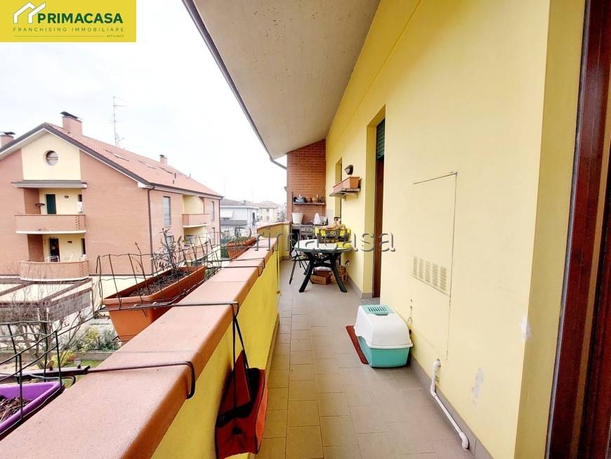 immagine annuncio 9 di 12