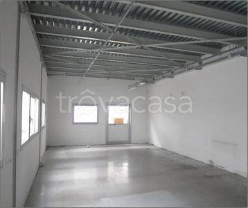 immagine annuncio 3 di 6