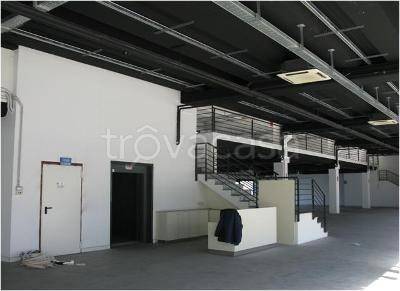 immagine annuncio 5 di 6