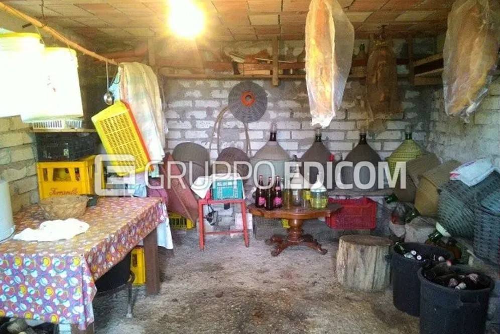 immagine annuncio 10 di 15