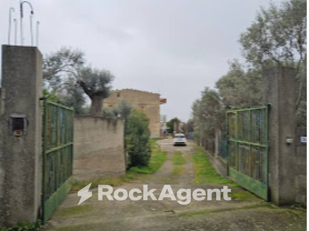 immagine annuncio 10 di 14