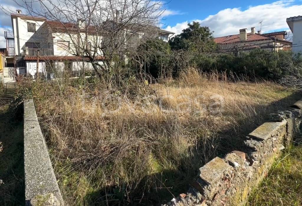 immagine annuncio 5 di 6