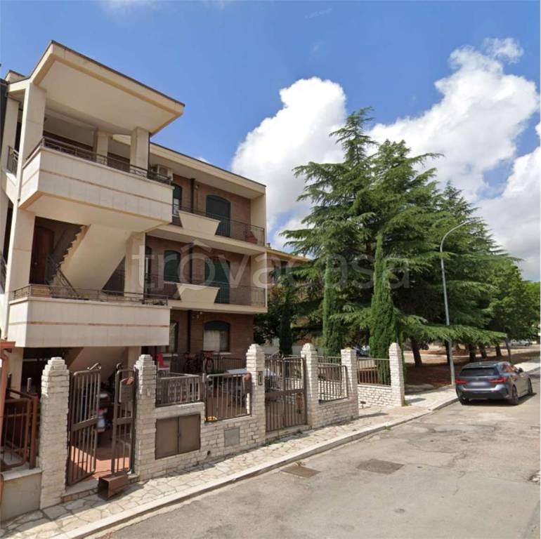 immagine annuncio 10 di 11