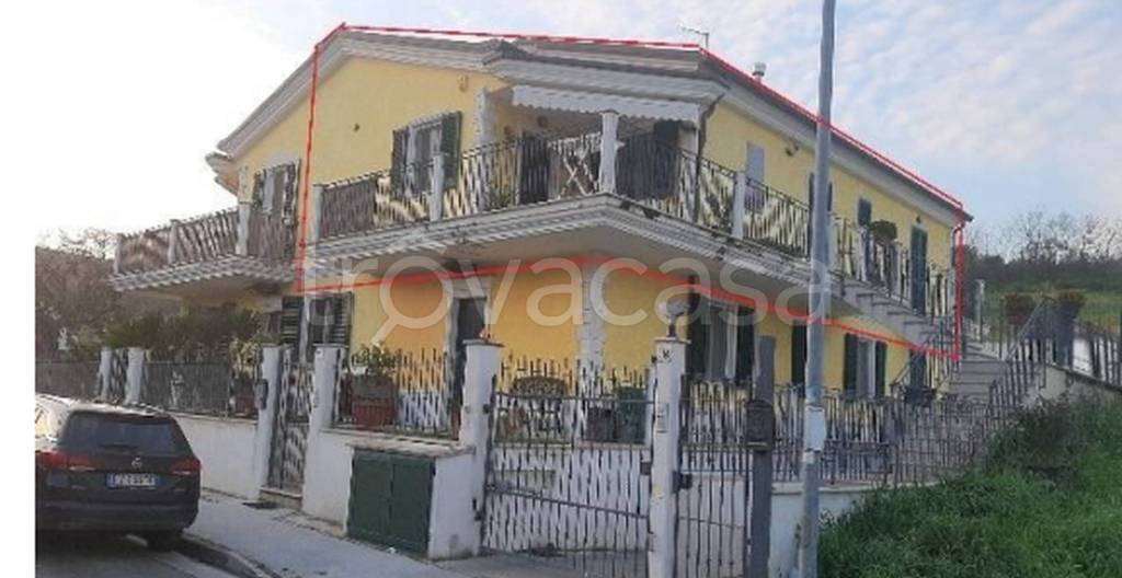 immagine annuncio 10 di 11