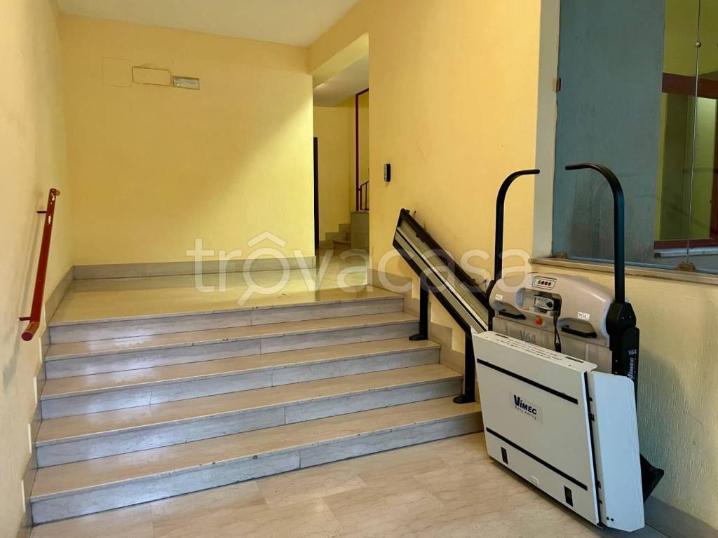 immagine annuncio 2 di 14