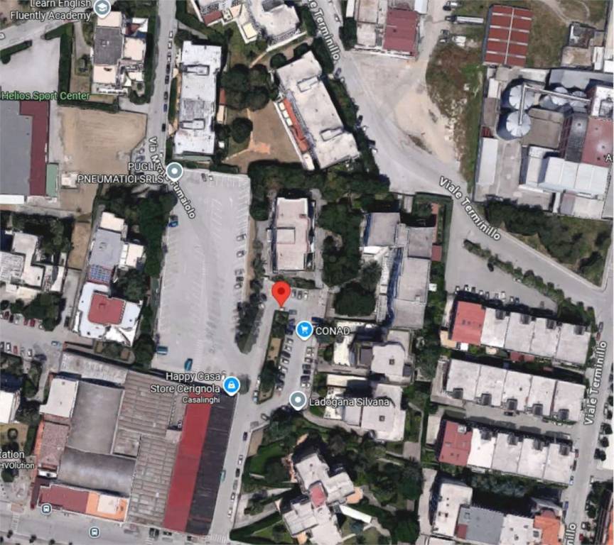 immagine annuncio 8 di 15