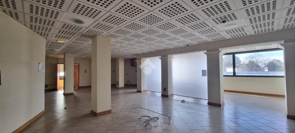 immagine annuncio 2 di 6