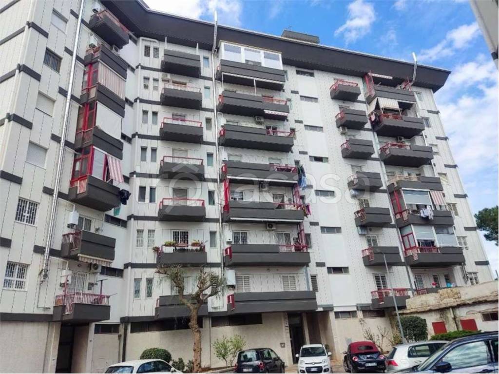 immagine annuncio 1 di 12