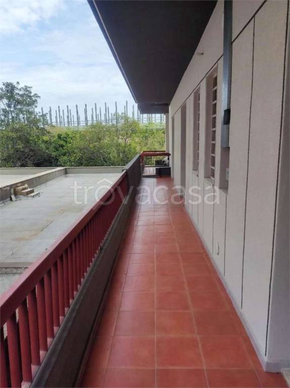 immagine annuncio 5 di 12