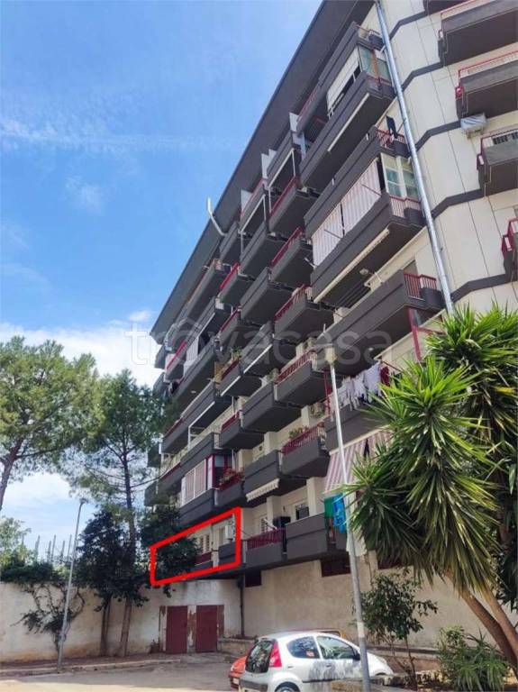 immagine annuncio 6 di 12