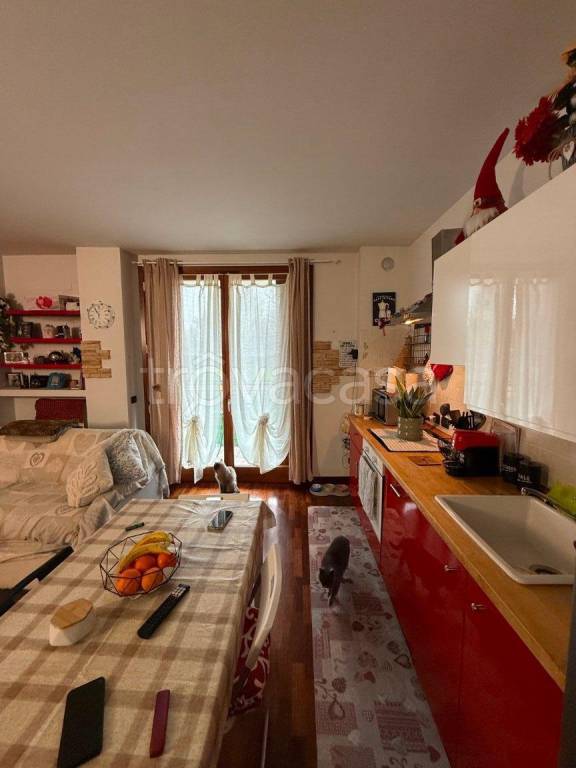 immagine annuncio 11 di 13