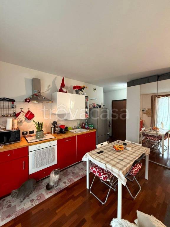 immagine annuncio 12 di 13