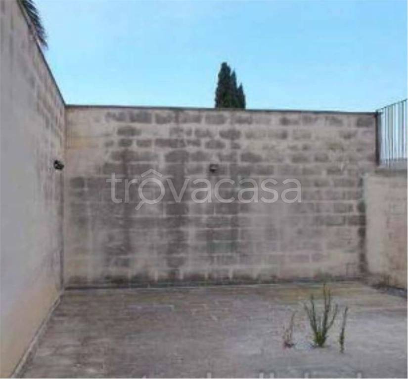 immagine annuncio 4 di 12